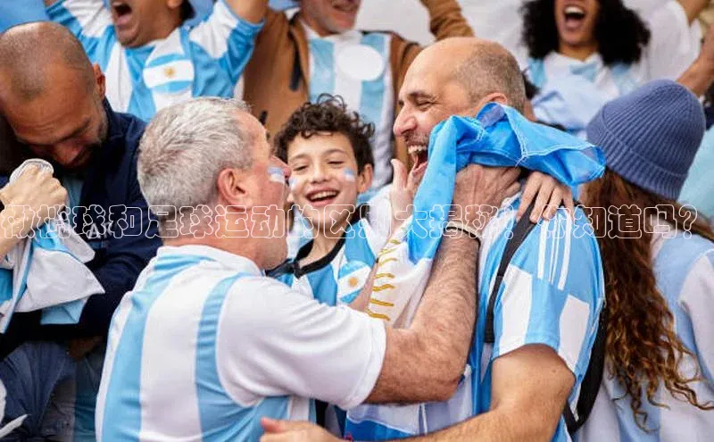 beat365安卓版下载猫眼橄榄球和足球运动的区别大揭秘！你知道吗？