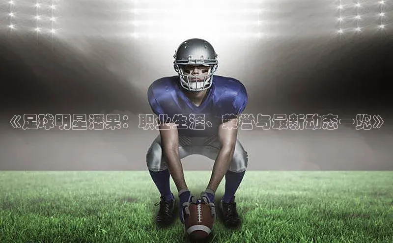 beat365 手机版官方网站阿里尔公司《足球明星潘果：职业生涯、荣誉与最新动态一览》