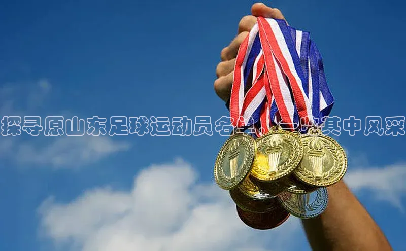 Bet365亚洲官方网站百度数据开放平台探寻原山东足球运动员名单，一览其中风采