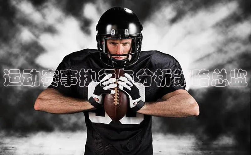 运动赛事执行与分析策略总监