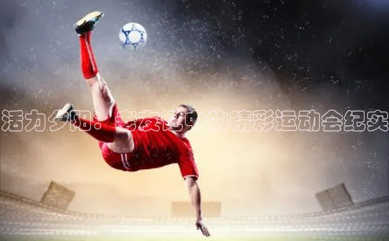 活力夕阳：老友记中的精彩运动会纪实