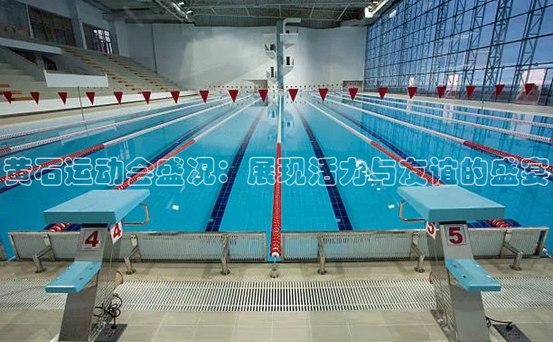 黄石运动会盛况：展现活力与友谊的盛宴