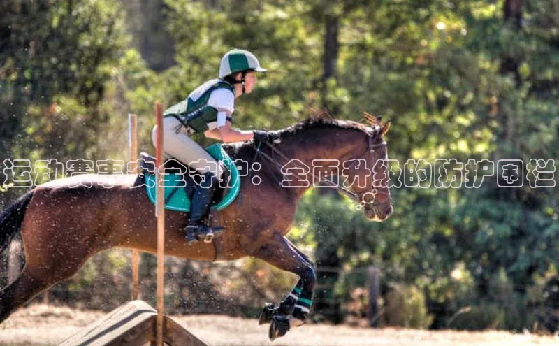 运动赛事安全守护：全面升级的防护围栏