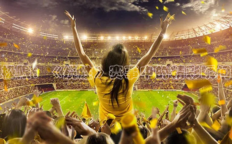 极限：《揽胜》赛事中的精彩瞬间