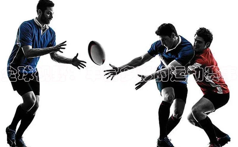 全球视野：丰富多彩的运动赛事