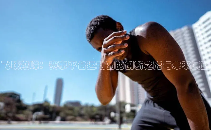 飞跃巅峰：赛事平台运动团的创新之路与未来展望
