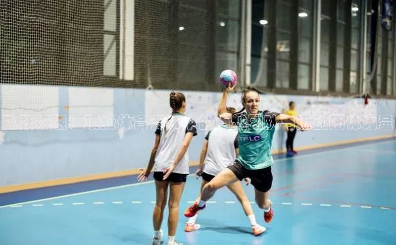 飞跃极限：顶级体育赛事中的卓越团队与运动团体力量