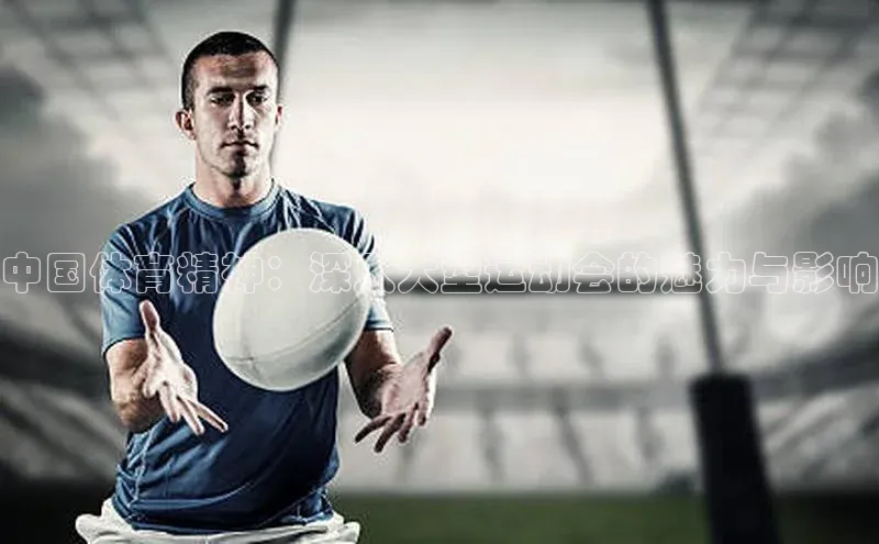 中国体育精神：深入大型运动会的魅力与影响