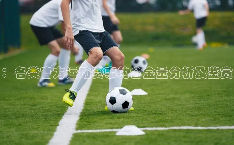 ：各类官方运动赛事的含金量分析及鉴赏