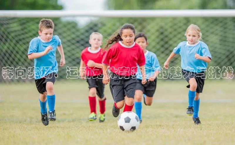 奔向赛场：运动兔体育赛事的魅力与挑战