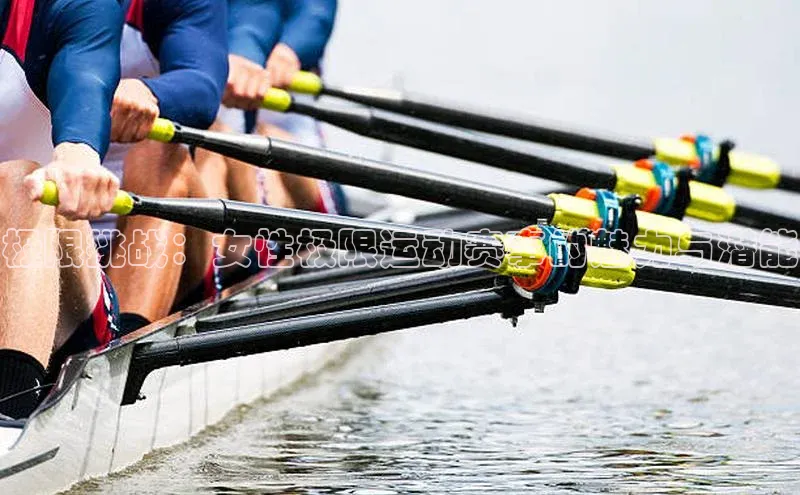 beat365全站官网最新版本