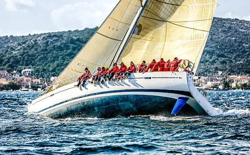 十大全球性体育盛事：引领竞技与文化的最高舞台