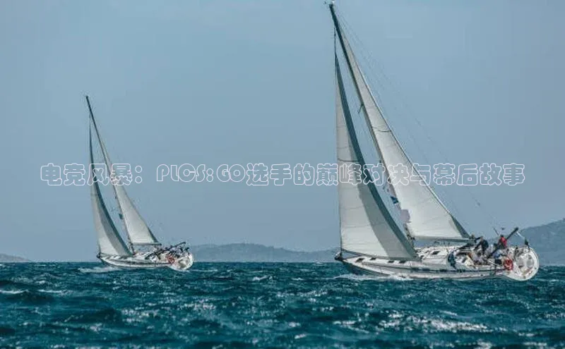 电竞风暴：PLCS:GO选手的巅峰对决与幕后故事